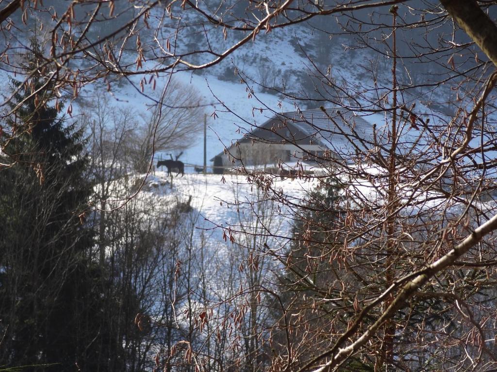 Ferme Auberge A La Colline Ferdrupt Екстериор снимка
