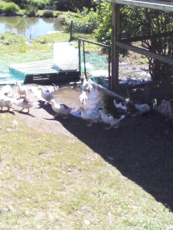 Ferme Auberge A La Colline Ferdrupt Екстериор снимка