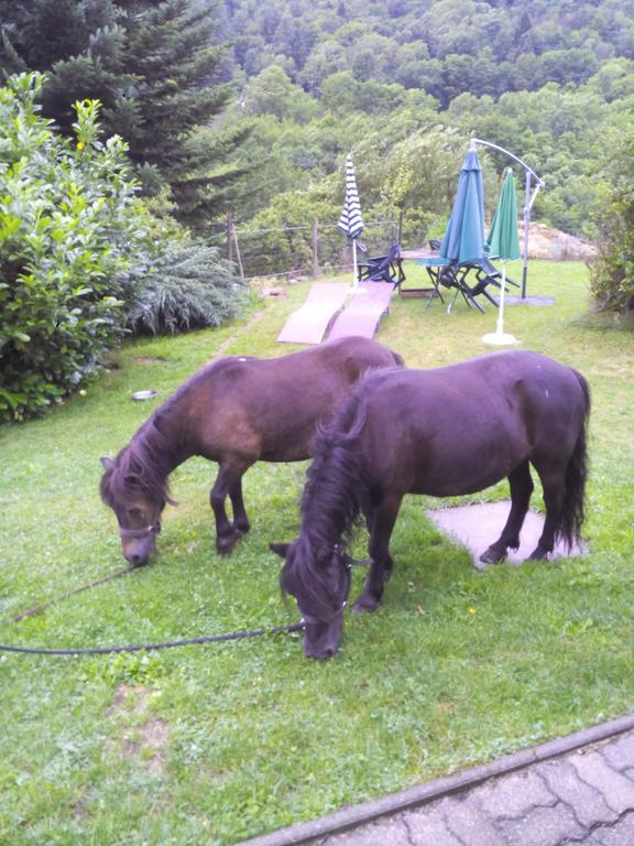 Ferme Auberge A La Colline Ferdrupt Екстериор снимка