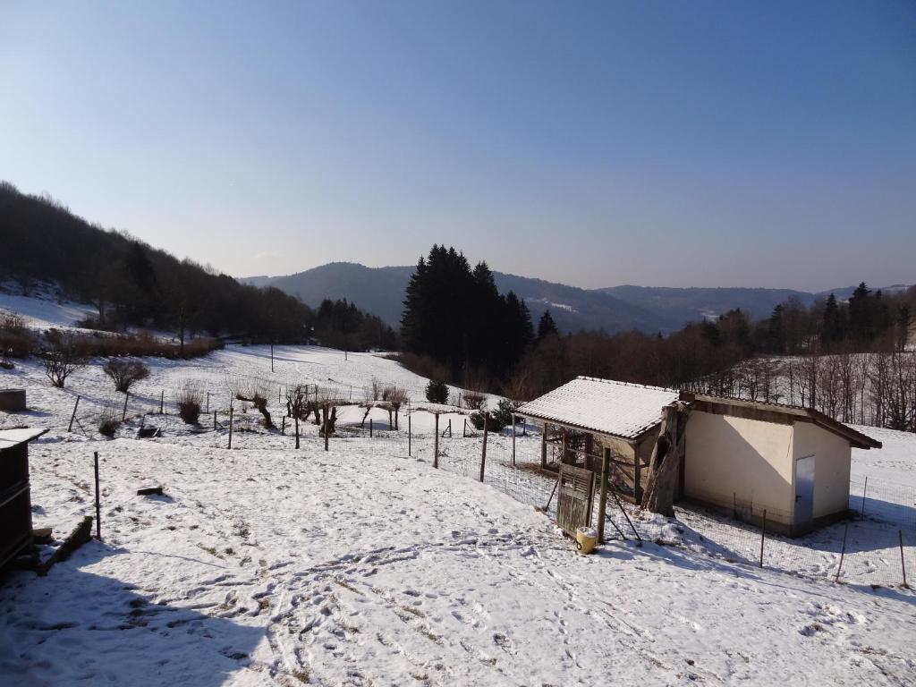 Ferme Auberge A La Colline Ferdrupt Екстериор снимка