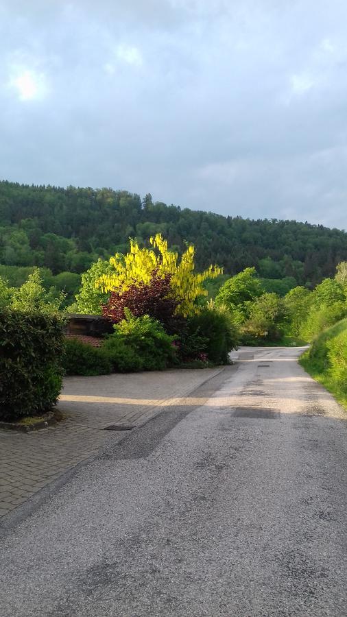 Ferme Auberge A La Colline Ferdrupt Екстериор снимка