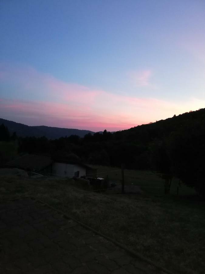Ferme Auberge A La Colline Ferdrupt Екстериор снимка